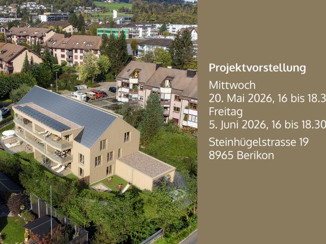 Wohnung kaufen in Berikon, Aargau