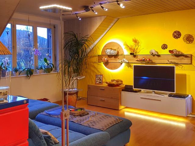 Wohnung mieten in Untersiggenthal, Aargau