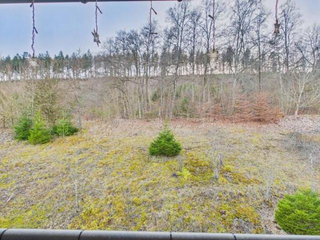 Wohnung kaufen in Immendingen, Baden-Württemberg