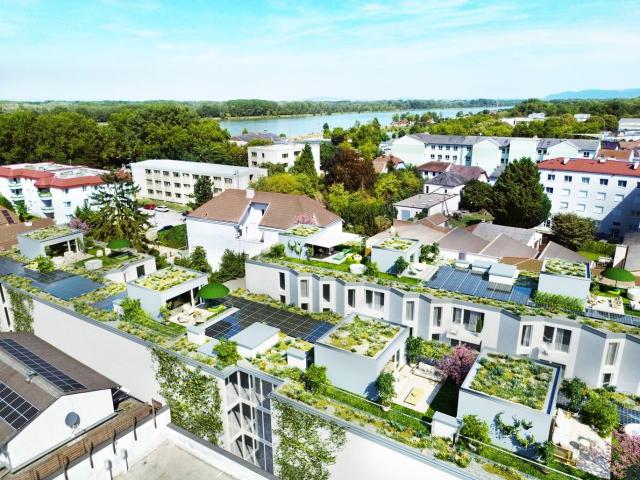 Wohnung kaufen in Tulln an der Donau, Niederösterreich