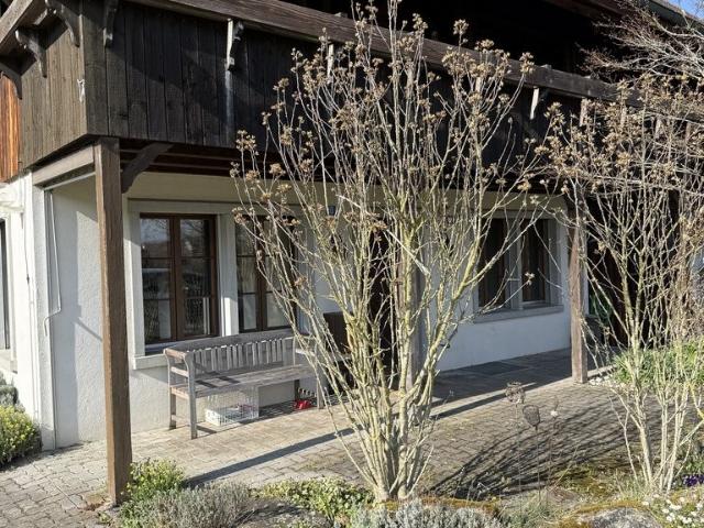 Apartment mieten in Egg, Zürich