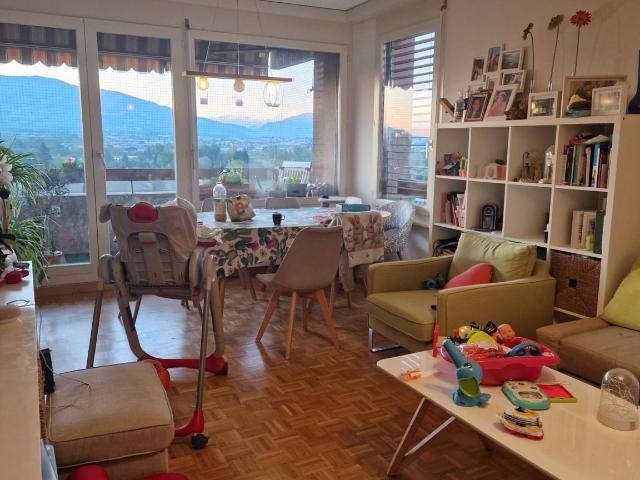 Wohnung mieten in Thônex