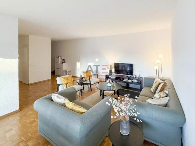 Wohnung mieten in Lancy