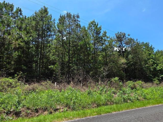 Land for sale in Mc Cormick, South Carolina