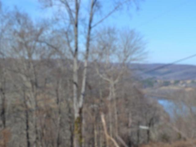 Land for sale in Gainesboro, Middle Tennessee
