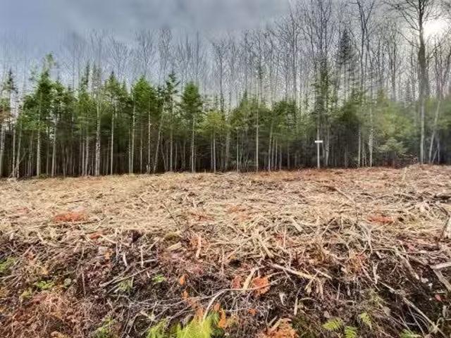 House for sale in Les Appalaches, Quebec