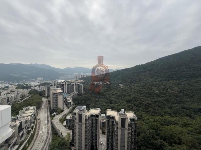 提供 出租 的 合租房