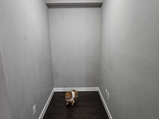 House for rent in Brighouse Village, Richmond
