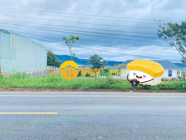 Mặt bằng bán