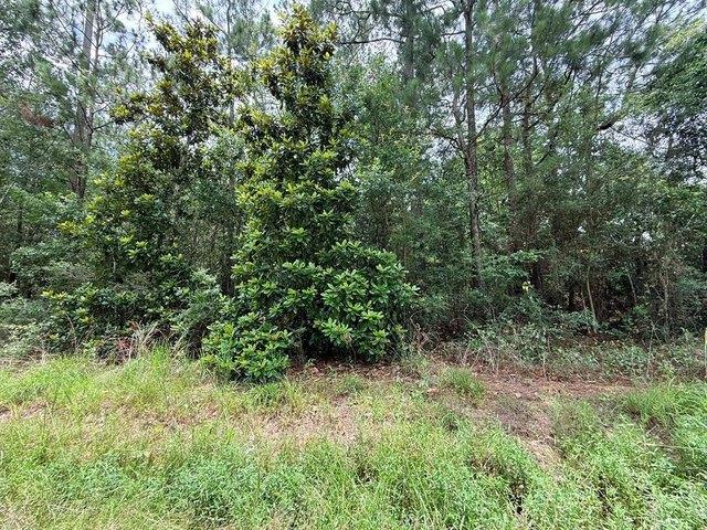 Land for sale in Bay Saint Louis, Mississippi
