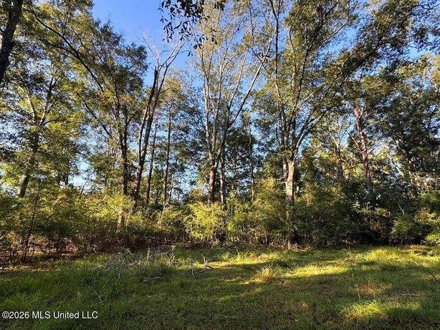 Land for sale in Osyka, Pike County