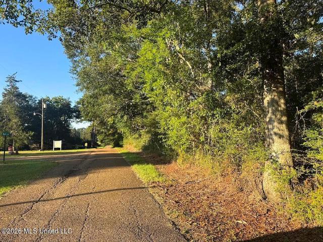 Land for sale in Osyka, Pike County