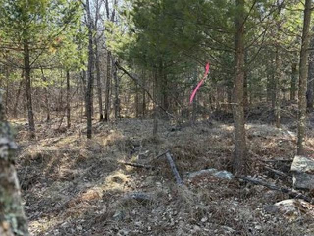 Land for sale in Carlton, Minnesota