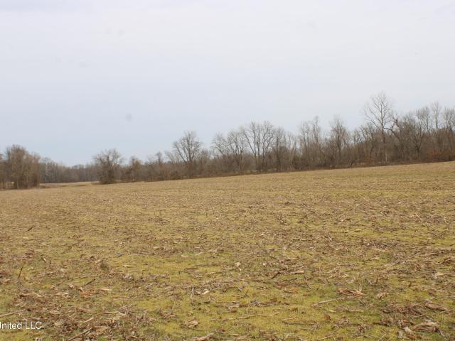 Land for sale in Walls, Mississippi