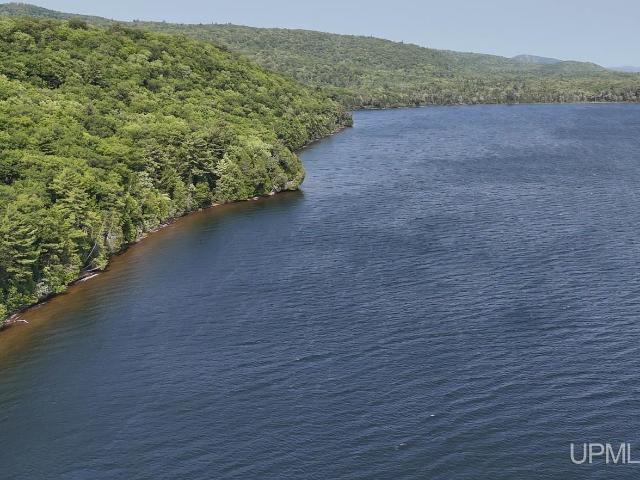 Land for sale in Michigan