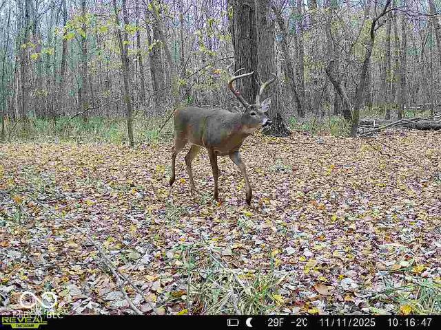 Land for sale in Seymour, Indiana
