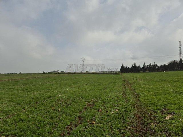 Propriété vente à El Ma, Gharb-Chrarda-Beni Hssen
