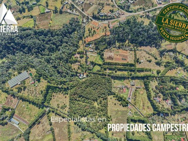 Terreno en venta en Techachalco, Acaxochitlán