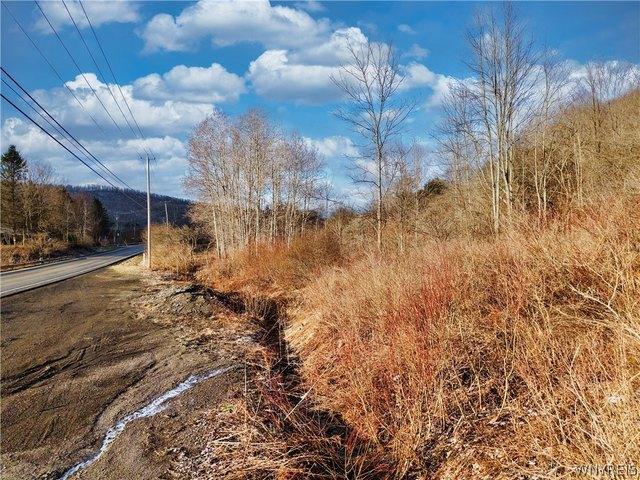 Land for sale in Ellicottville, New York