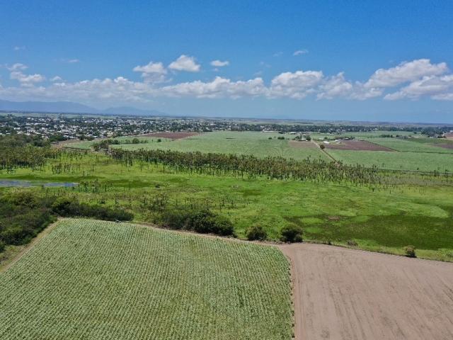 Property for sale in Jarvisfield, Queensland