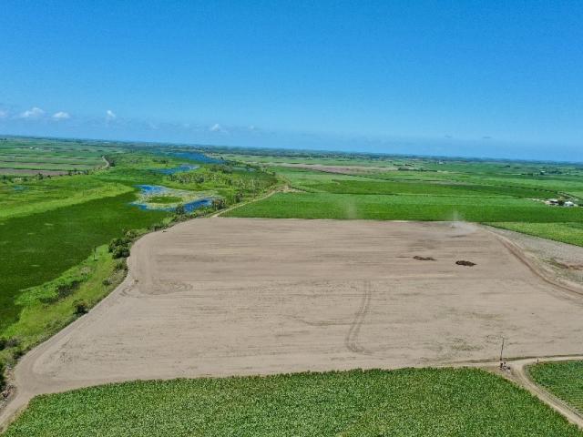 Property for sale in Jarvisfield, Queensland