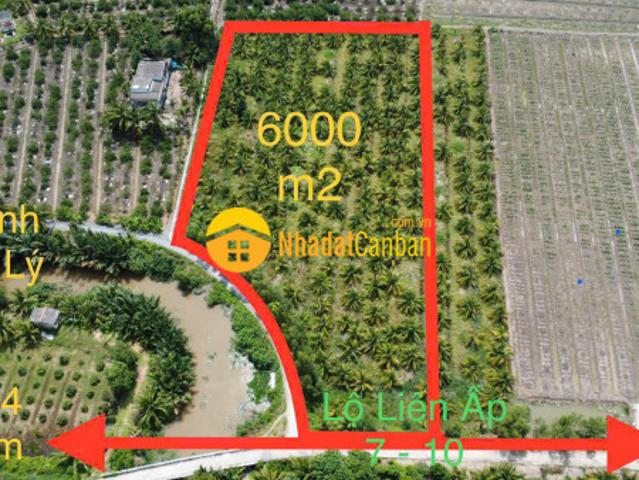 Mặt bằng bán tại Bến Lức, Long An