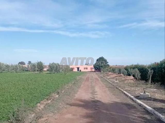 Propriété vente à Bouznika ⴱⵓⵣⵏⵉⵇⴰ بوزنيقة, Province de Benslimane إقليم بن سليمان