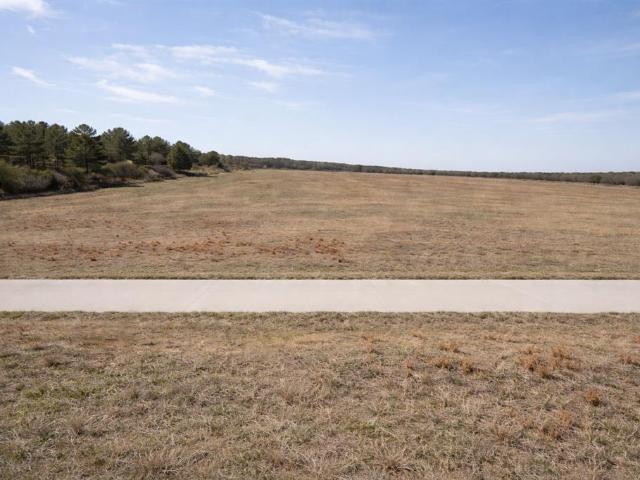 Land for sale in Parker, Texas