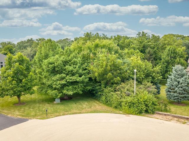 Land for sale in Bristol, Illinois
