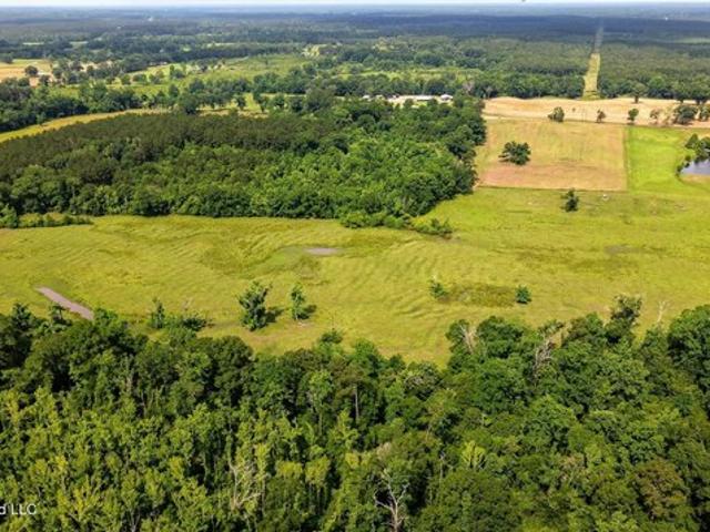 Land for sale in Osyka, Mississippi