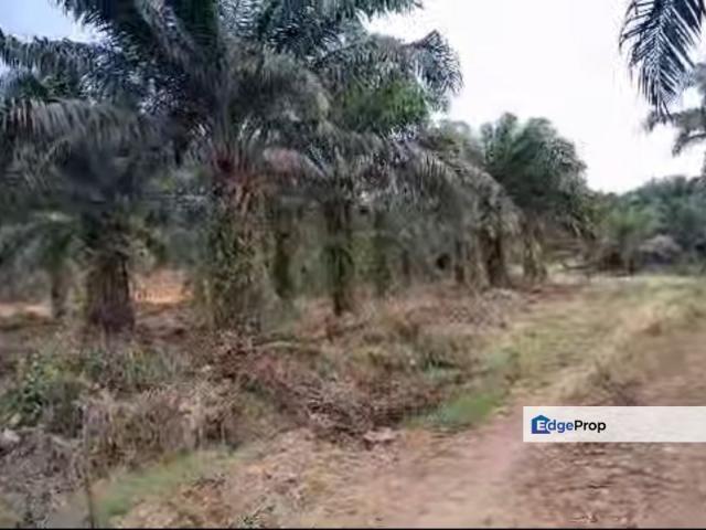 Shop for sale in Beluran, Sabah