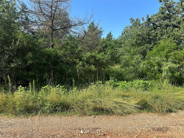 Land for sale in Somerville, Texas
