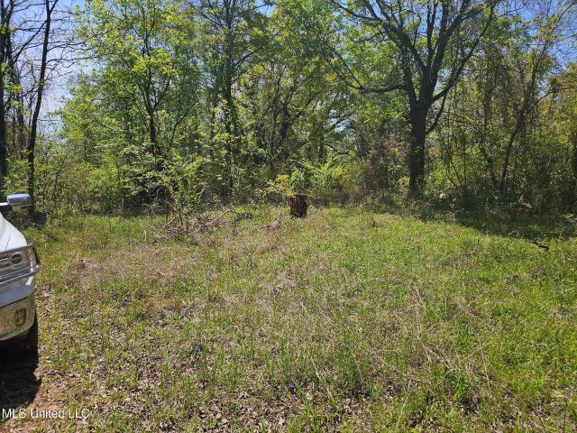 Land for sale in Ripley, Mississippi