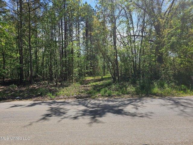 Land for sale in Ripley, Tippah County