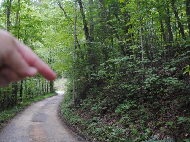 Land for sale in Gilmer, Georgia