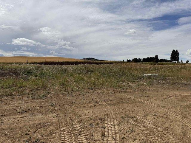 Land for sale in Reardan, Washington