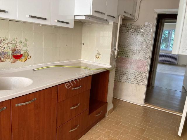 Tokat Merkez, Tokat içerisinde kiralık mülk