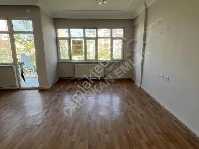 Tokat Merkez, Tokat içerisinde kiralık mülk