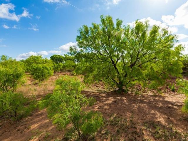 Land for sale in Haskell, Texas