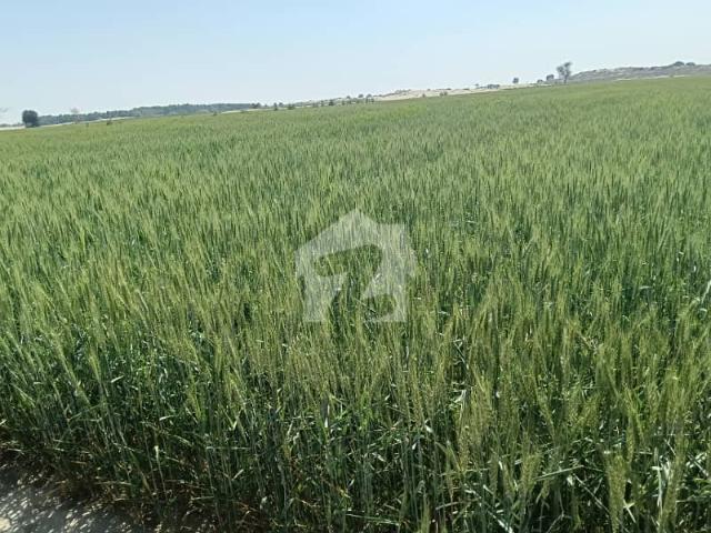 Land for sale in Multan, Islamabad Capital Territory