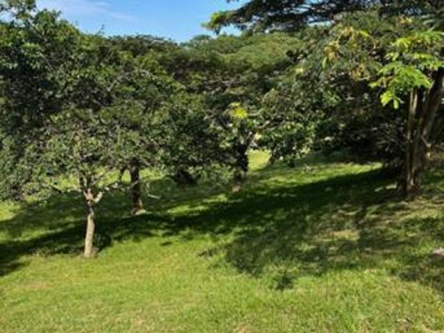Land for sale in Ugu District Municipality, Kwazulu-natal