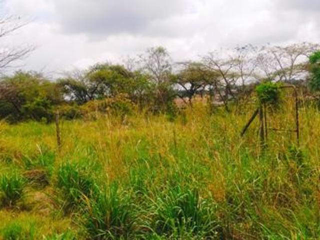 Land for sale in Thohoyandou, Thulamela Local Municipality