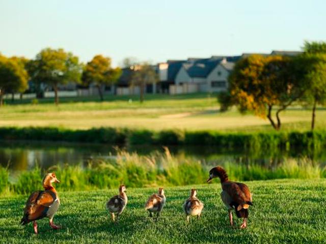 Land for sale in Oranjeville, Free State