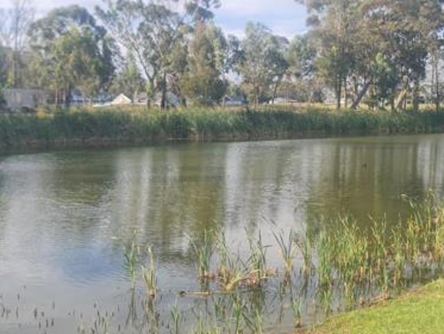 Land for sale in Eastern Cape