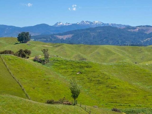 Property for sale in Upper Moutere, Tasman