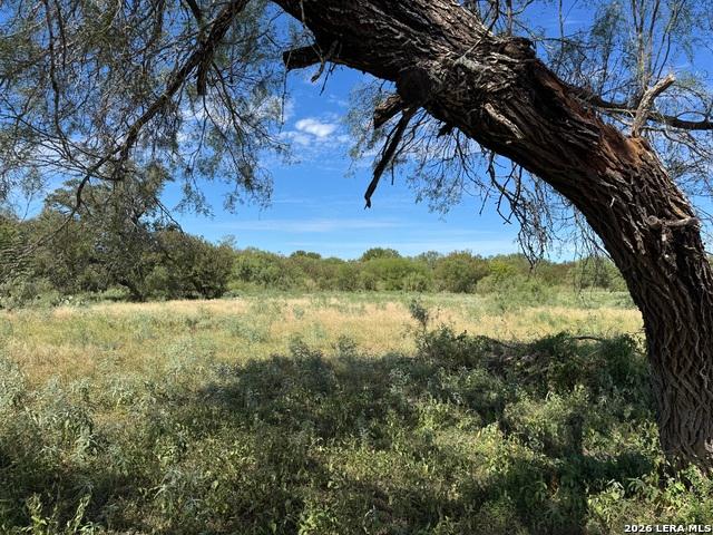 Land for sale in Uvalde, Uvalde County