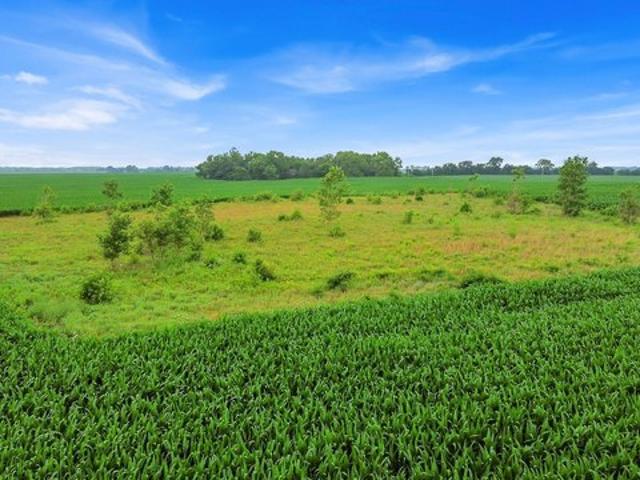 Land for sale in Brook, Indiana