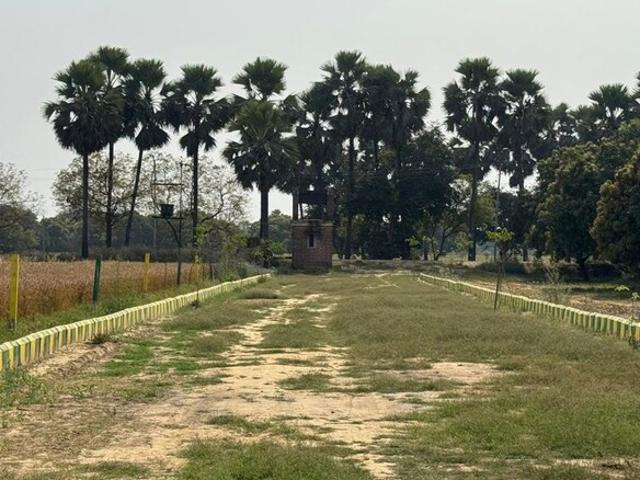 Land for sale in Lakhana, Arunachal Pradesh