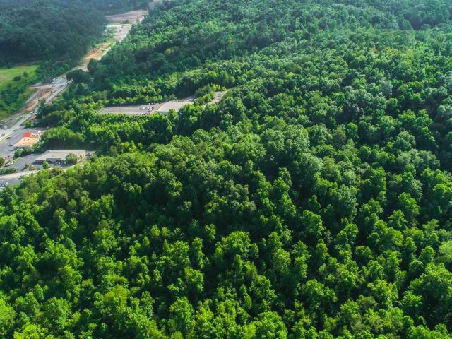 Land for sale in Corbin, Kentucky