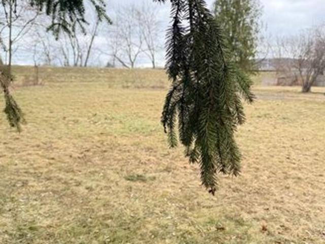 Land for sale in Elmira, New York